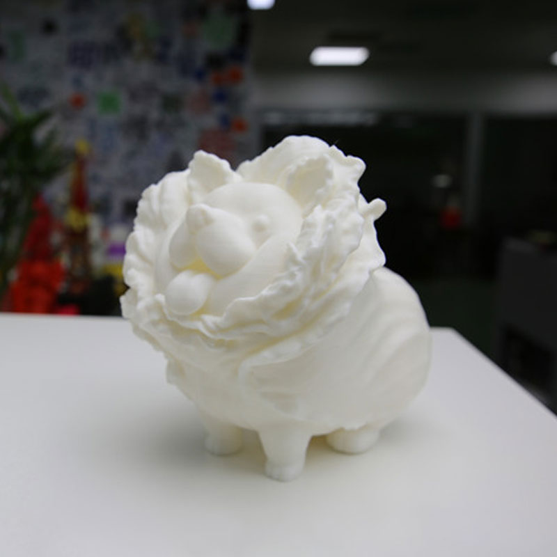 3D Printing Funny Small Dog As Cabbage Shape (1)