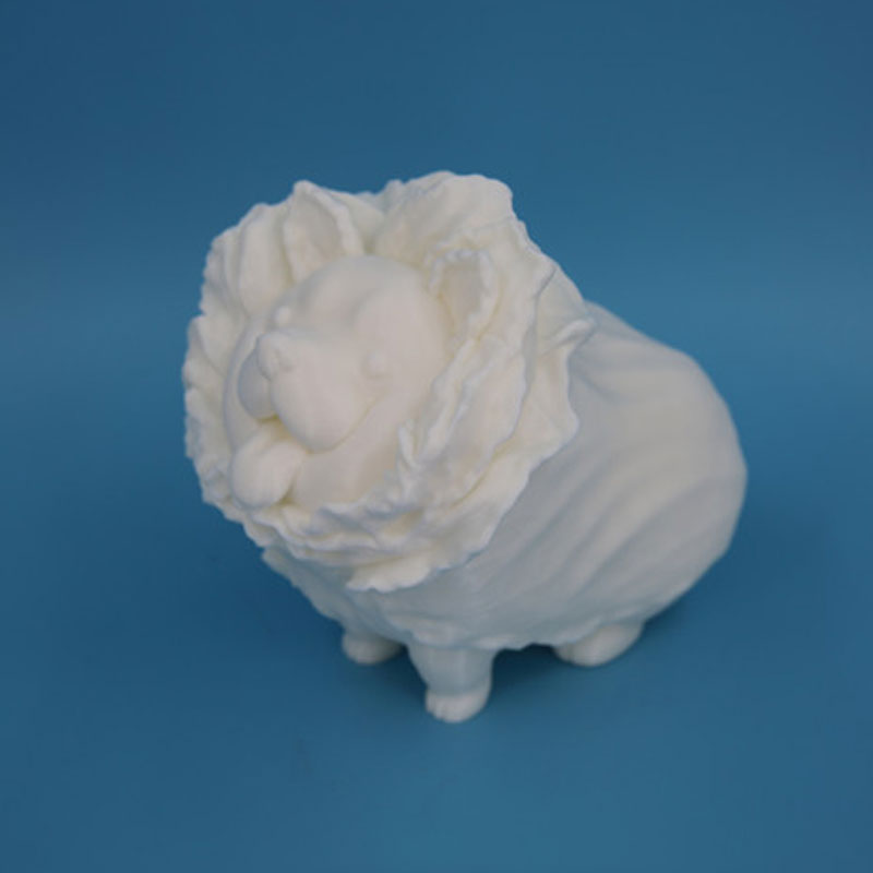 3D Printing Funny Small Dog As Cabbage Shape (3)