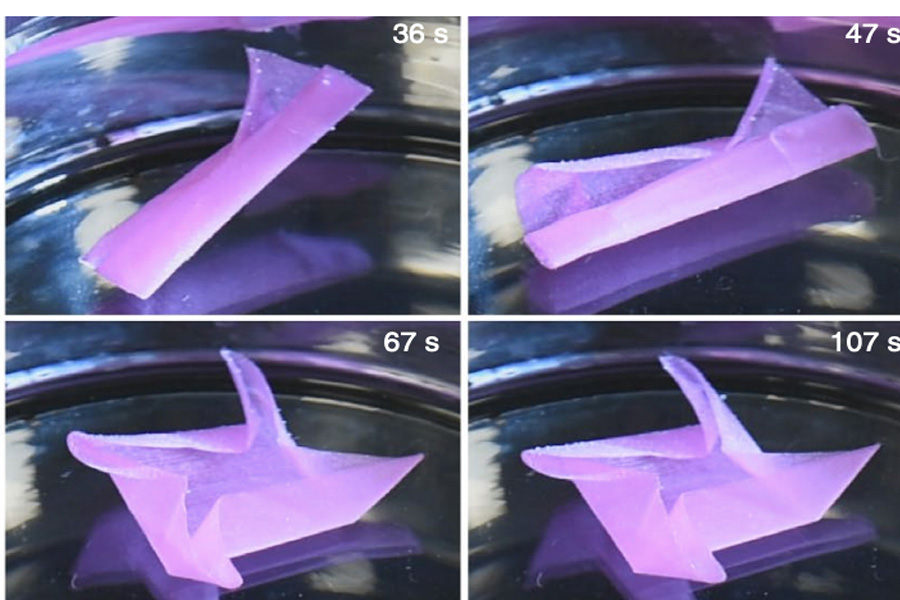 Harvard researchers develop eco-friendly shape memory 3D printing materials