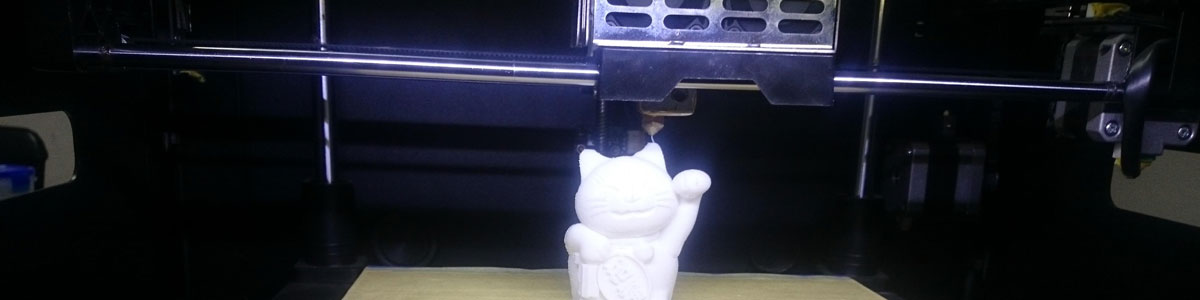 Fused Deposition Modeling 3D Printing