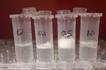 Researchers create bio-ink that can deliver oxygen to 3D printed tissue cells