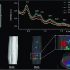 Study on the long-term stability of 3D printed ceramic crowns