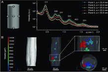 Researchers use 3D printing to assemble nanoparticles into robust macrostructures