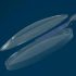 New material: Polyurethane (PU) 3D printing material