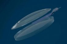 The next-generation smart glasses lens mass production technology is in place!