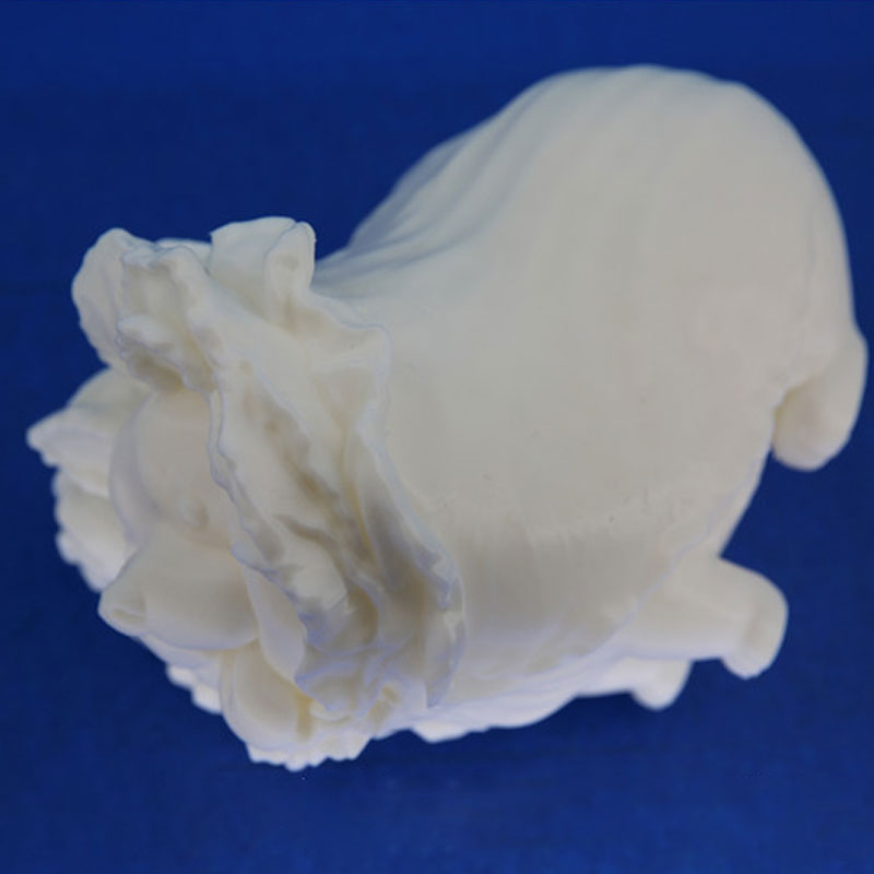 3D Printing Funny Small Dog As Cabbage Shape (5)