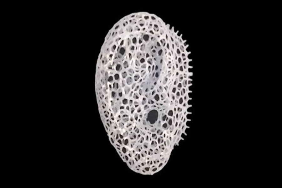 Reverse 3D printing method to make bone repair scaffold implants faster